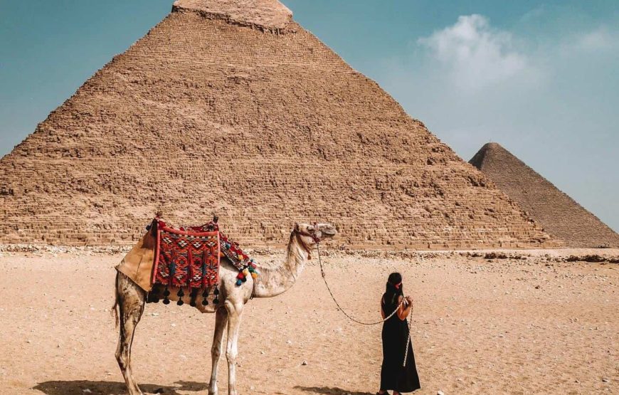 Private Full-Day Tour of Luxor by Plane from Cairo