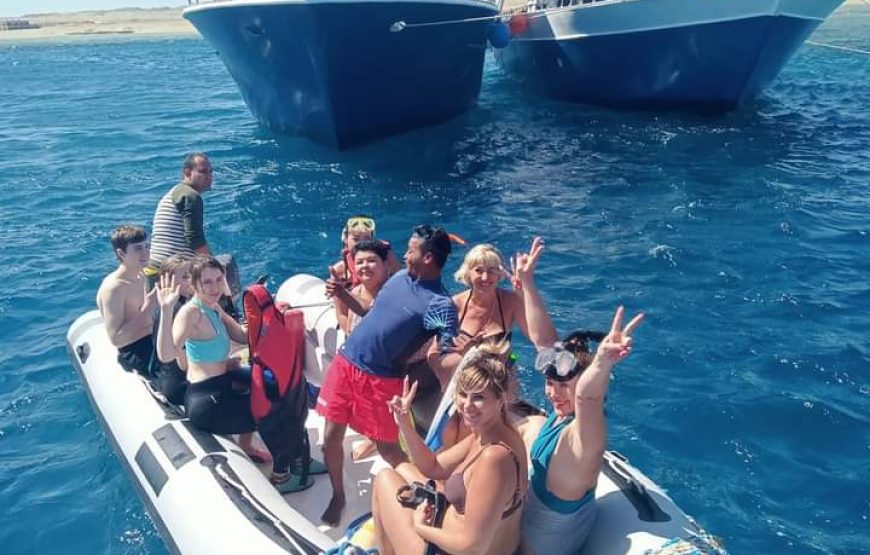 Marsa Mubarak With Lunch – Snorkeling with Turtles & Dugong from Hurghada