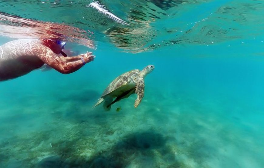 Sharm El Naga National Park water turtle house Full Day Snorkeling Trip-Hurghada